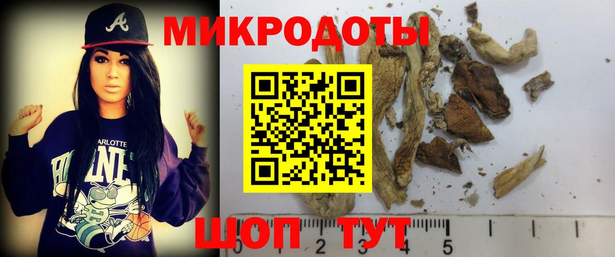 Галлюциногенные грибы мицелий  Псилоцибиновые грибы Magic Shrooms  Дмитров  Вход с VPN 